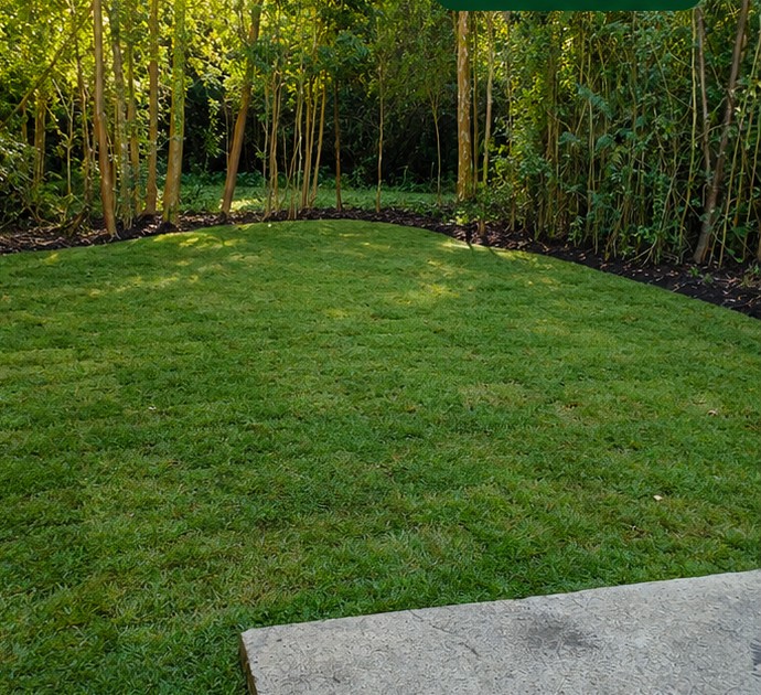 Jardín transformado por Jardines Jaime