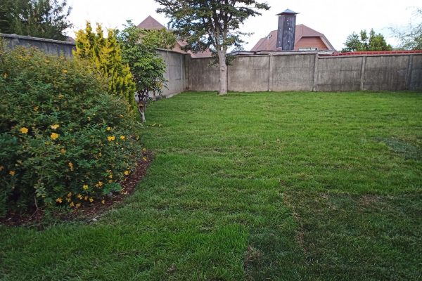 Proyecto de pasto en rollo de Jardines Jaime